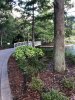 thumbnail_IMG_2302.jpg