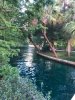 thumbnail_IMG_2303.jpg