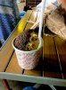 Sprinkles Sundae.jpg