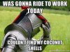 Coconut Shells.jpg