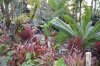 DSC_0214.JPG