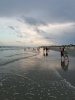 20180803_200244-2268x3024 myrtle.jpg