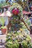 IMG_2380 copy.jpg