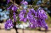 IMG_2386 copy.jpg