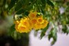 IMG_2394 copy.jpg