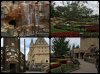 PicMonkey Collage4.jpg