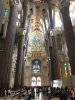 IMG_5172.jpg