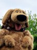 flat2018-05-22 18.22.07.jpg