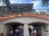 pumpkins.jpg