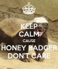 keep-calm-cause-honey-badger-don-t-care-9.png