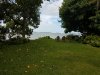 Steve Backyard.jpg