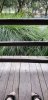 20180813_185009-490x1008.jpg