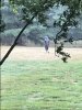 8EC12877-A938-4989-9C9E-8DFCAF70AD61.jpeg