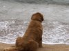 surf9.jpg