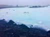 TRIP REPORT-MONDAY-IPHONE 13.jpg