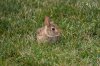 DSC_3984.jpg