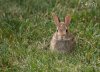 DSC_3985.jpg
