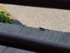 20180818_132842-1008x756.jpg