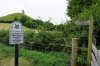 DSC00925.JPG