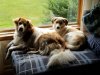 Resized_20170728_094738001_7405.jpg