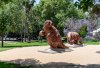 IMG_3277 copy.jpg
