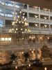 IMG_Aug272018at80522PM.jpg