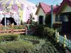Toon Town.jpg Toon Town.jpg