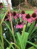 IMG_0246.jpg