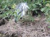 1-DSCN8355.JPG