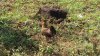 upload_2018-8-29_10-1-37.jpeg
