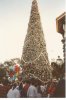 TBT MK tree1993.jpg TBT MK tree1993.jpg