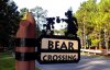 Bear Crossing.jpg