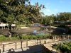 river0.jpg