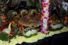 dessert buffet magic 2008 dcp_1357.jpg