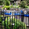 2018-05-24 07.26.48.jpg