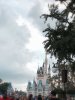 IMG_Sep22018at83317AM.jpg