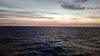 5cIMG_20180810_215919.jpg
