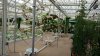 epcot land bts2.jpg