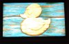 6fDSCN9094.JPG