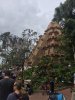 IMG_5347.jpg
