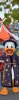 wdw2017294842703518_8113907496_dsnyRes-base_dsnyLoc-reg~2.jpg