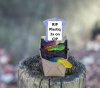 coffin treat plastiq.jpg