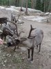 8bDSCN9430.JPG