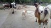 9cIMG_20180814_131857.jpg
