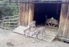 9cIMG_20180814_132159.jpg