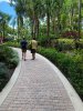thumbnail_IMG_2590.jpg