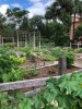 thumbnail_IMG_2594.jpg