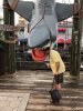 thumbnail_IMG_2613.jpg