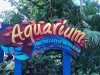 thumbnail_IMG_2655.jpg