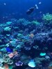 thumbnail_IMG_2658.jpg